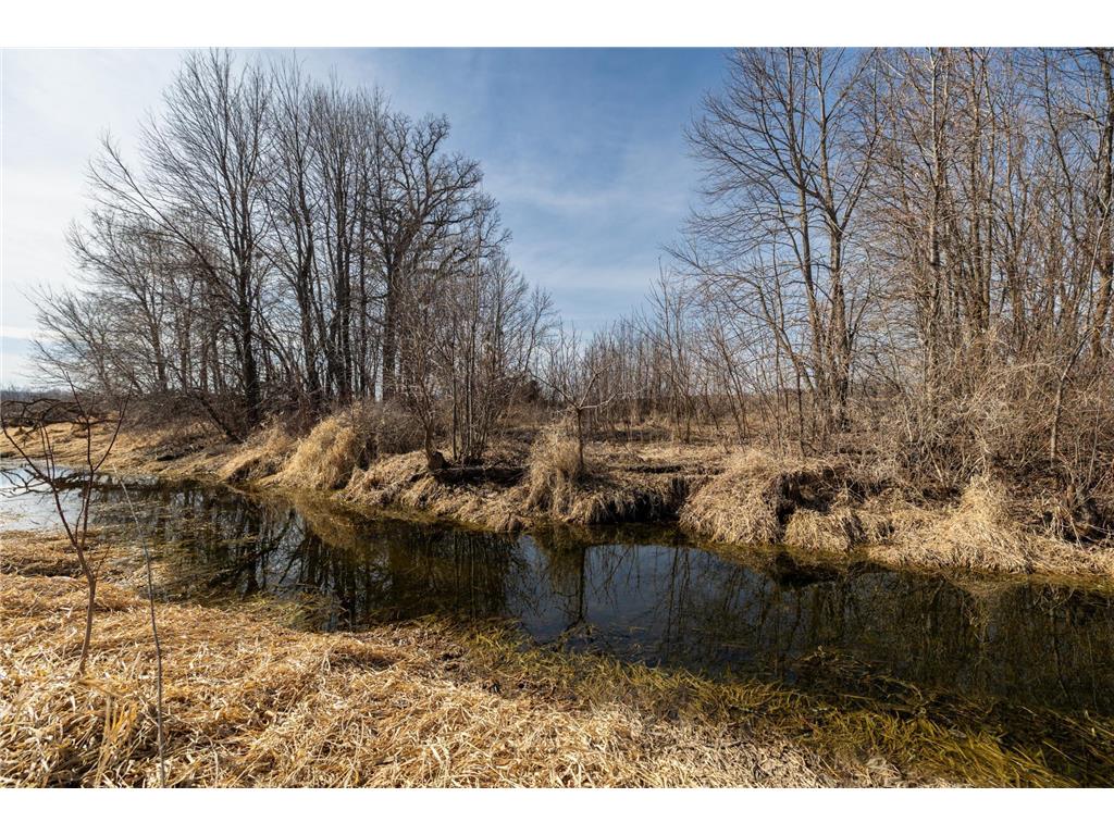 000 Mn-25 Camden Twp MN 55360 - Berliner 7046879 image33
