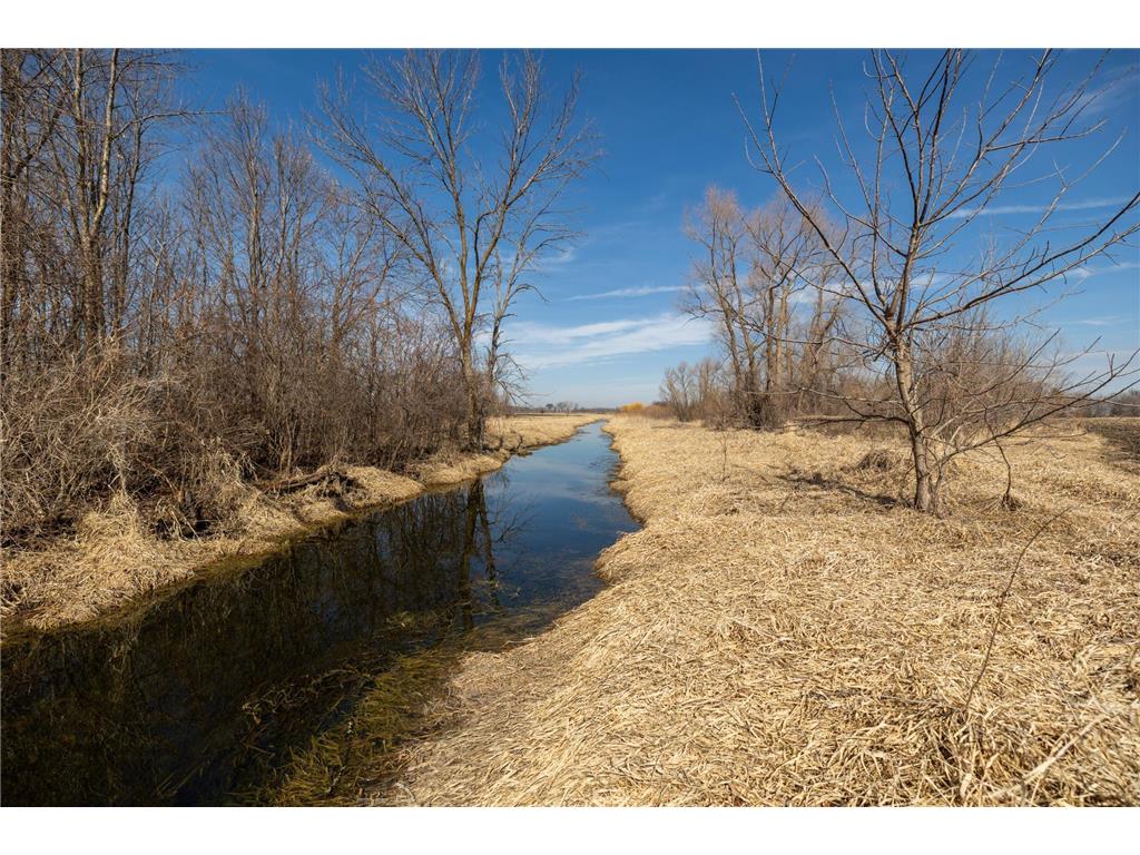 000 Mn-25 Camden Twp MN 55360 - Berliner 7046879 image34