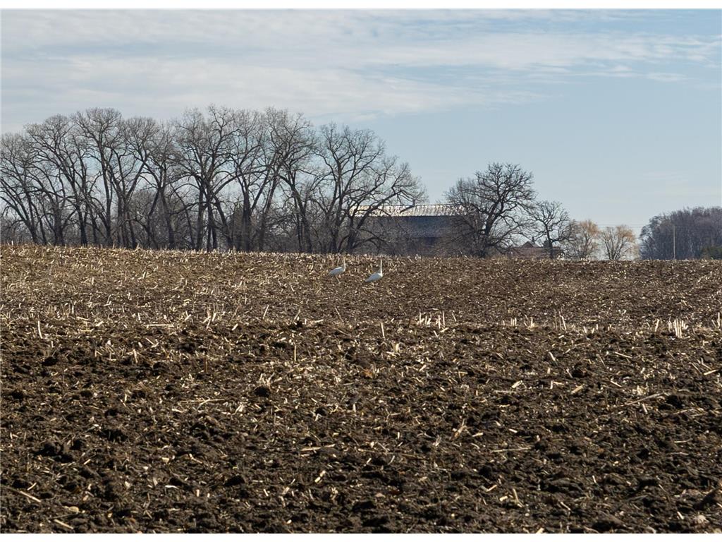 000 Mn-25 Camden Twp MN 55360 - Berliner 7046879 image39