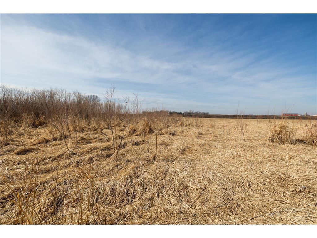 000 Mn-25 Camden Twp MN 55360 - Berliner 7046879 image40
