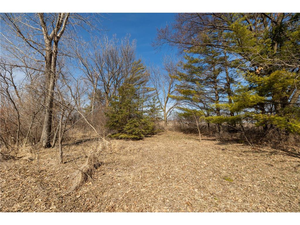 000 Mn-25 Camden Twp MN 55360 - Berliner 7046879 image41