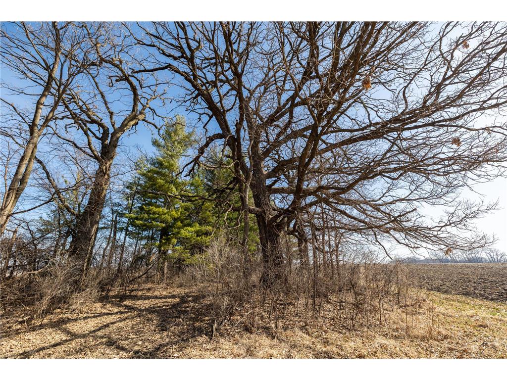 000 Mn-25 Camden Twp MN 55360 - Berliner 7046879 image42