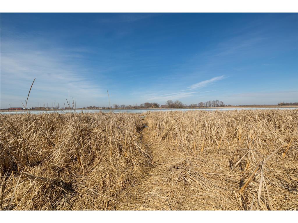 000 Mn-25 Camden Twp MN 55360 - Berliner 7046879 image46