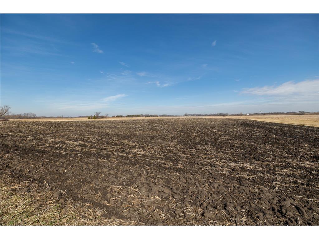 000 Mn-25 Camden Twp MN 55360 - Berliner 7046879 image48