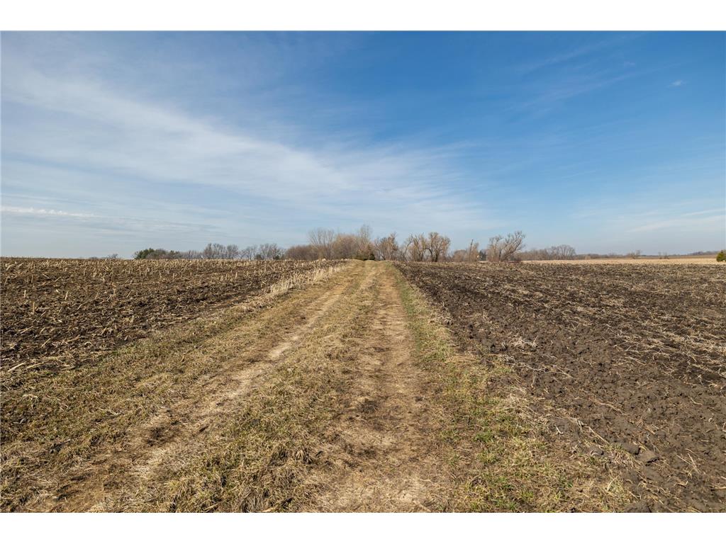 000 Mn-25 Camden Twp MN 55360 - Berliner 7046879 image49