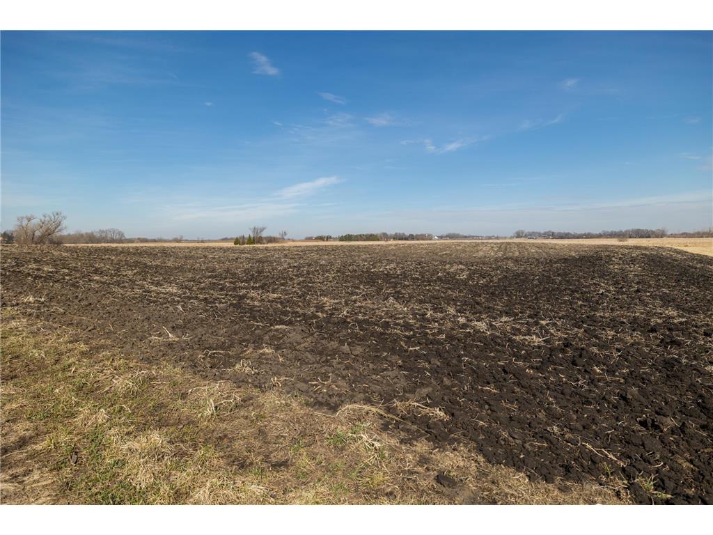 000 Mn-25 Camden Twp MN 55360 - Berliner 7046879 image50