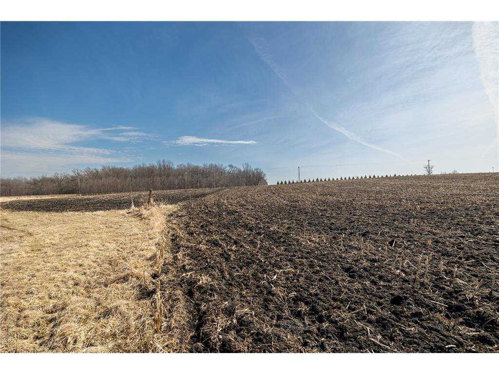 000 Mn-25 Camden Twp MN 55360 - Berliner 7046879 image51