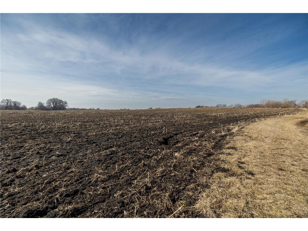 000 Mn-25 Camden Twp MN 55360 - Berliner 7046879 image52