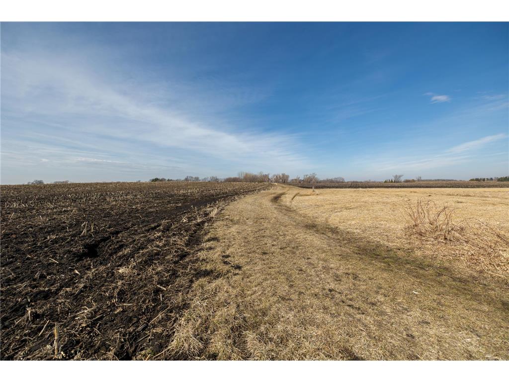 000 Mn-25 Camden Twp MN 55360 - Berliner 7046879 image53