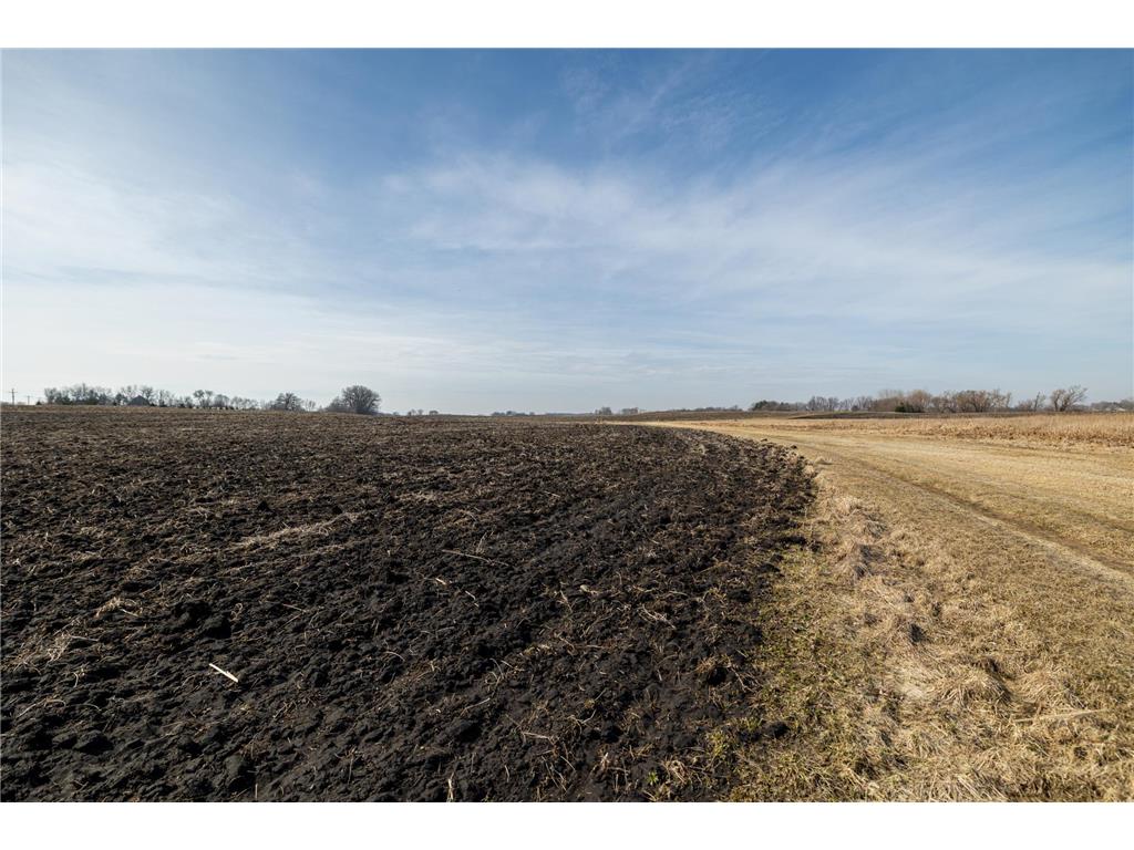 000 Mn-25 Camden Twp MN 55360 - Berliner 7046879 image54