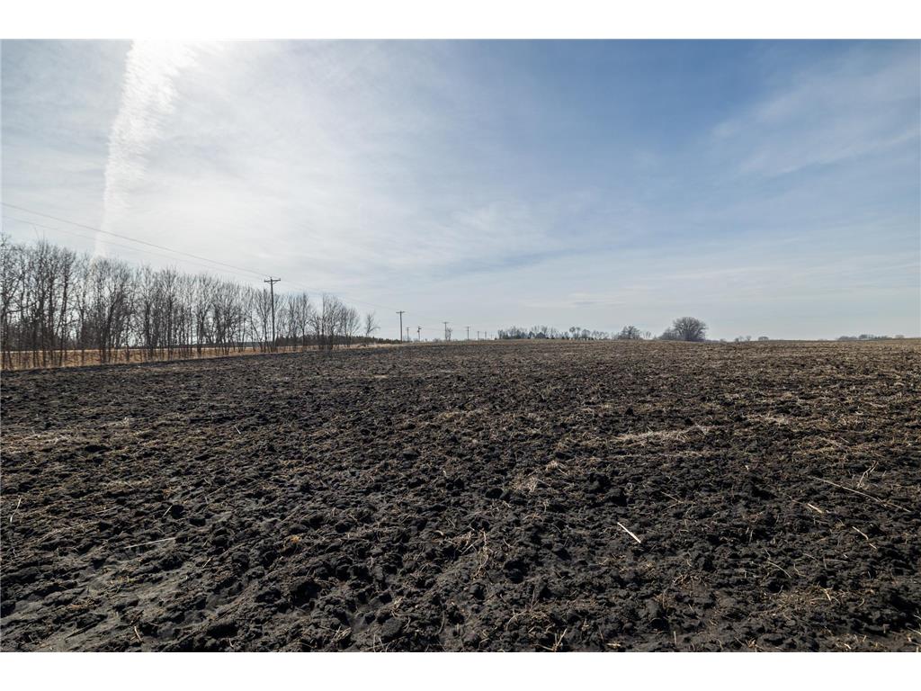 000 Mn-25 Camden Twp MN 55360 - Berliner 7046879 image55