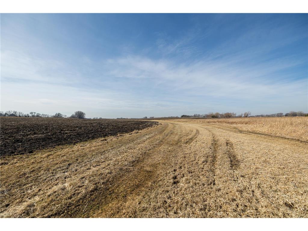 000 Mn-25 Camden Twp MN 55360 - Berliner 7046879 image56