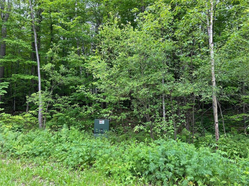 000 N x North Gama Beach Road Road N Grand Rapids MN 55744 6558474 image1