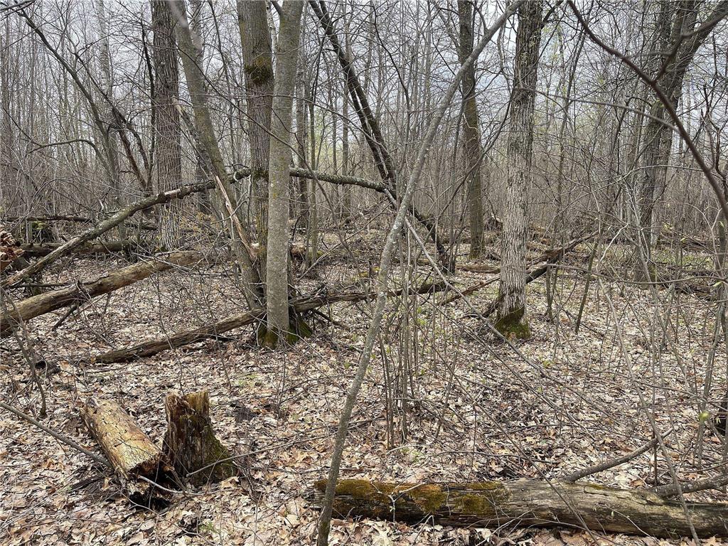 000 Nelson Road Swiss Twp WI 54830 6312216 image1