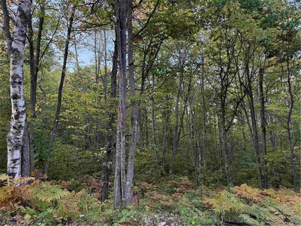 000 Old Hwy 2 Iron River WI 54847 6794001 image1