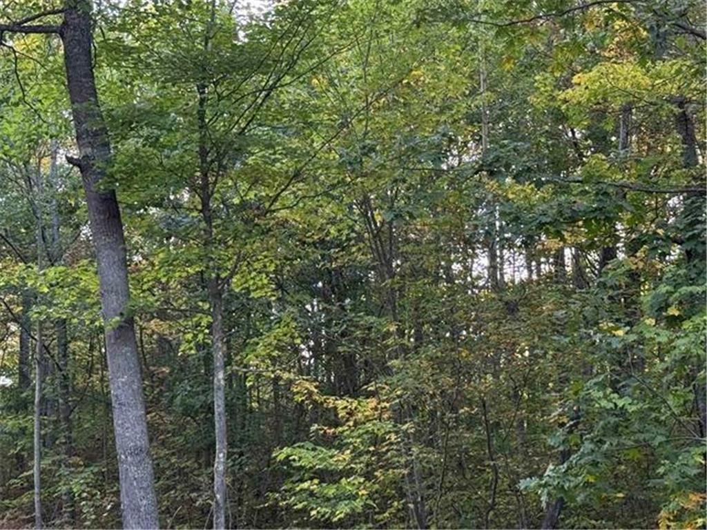 000 Old Hwy 2 Iron River WI 54847 6794001 image2