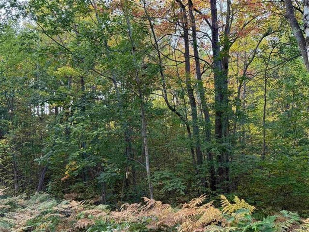 000 Old Hwy 2 Iron River WI 54847 6794001 image3