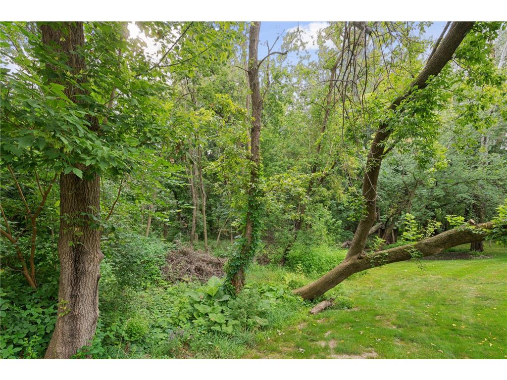 000 Park Drive Orono MN 55364 6769482 image13