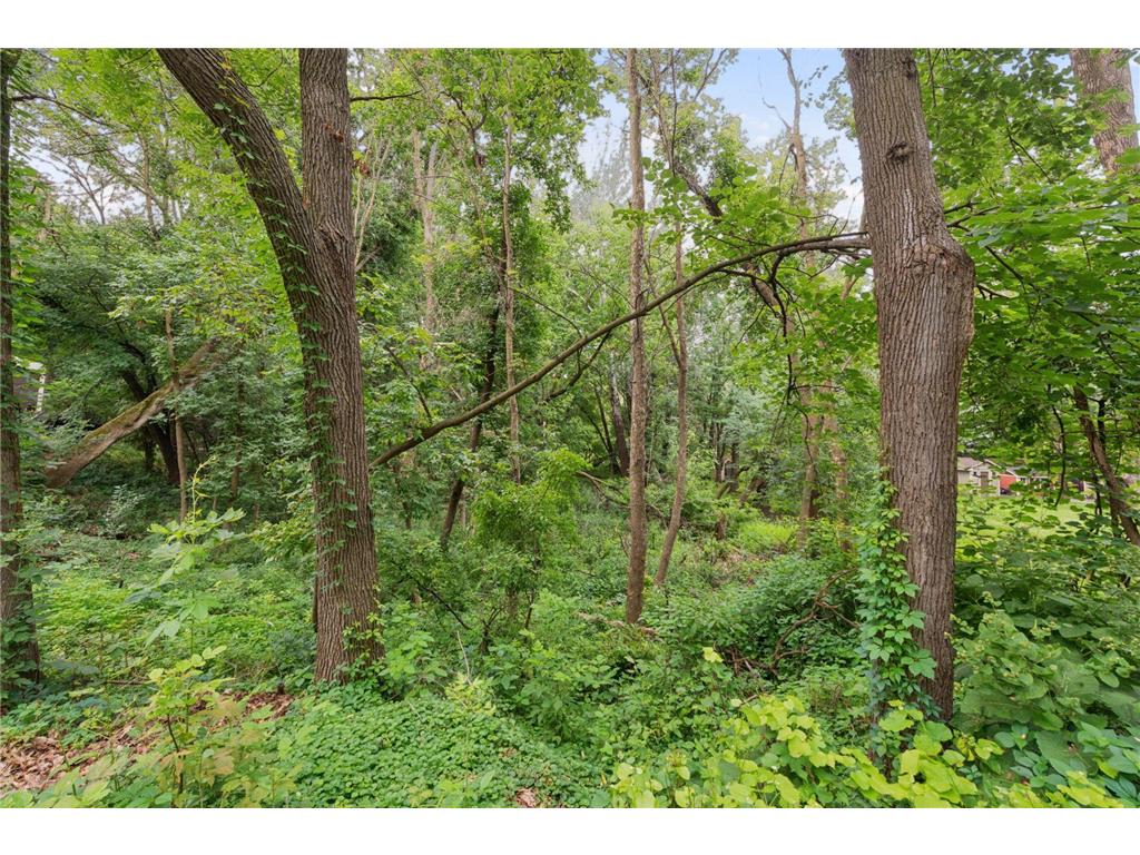 000 Park Drive Orono MN 55364 6769482 image14