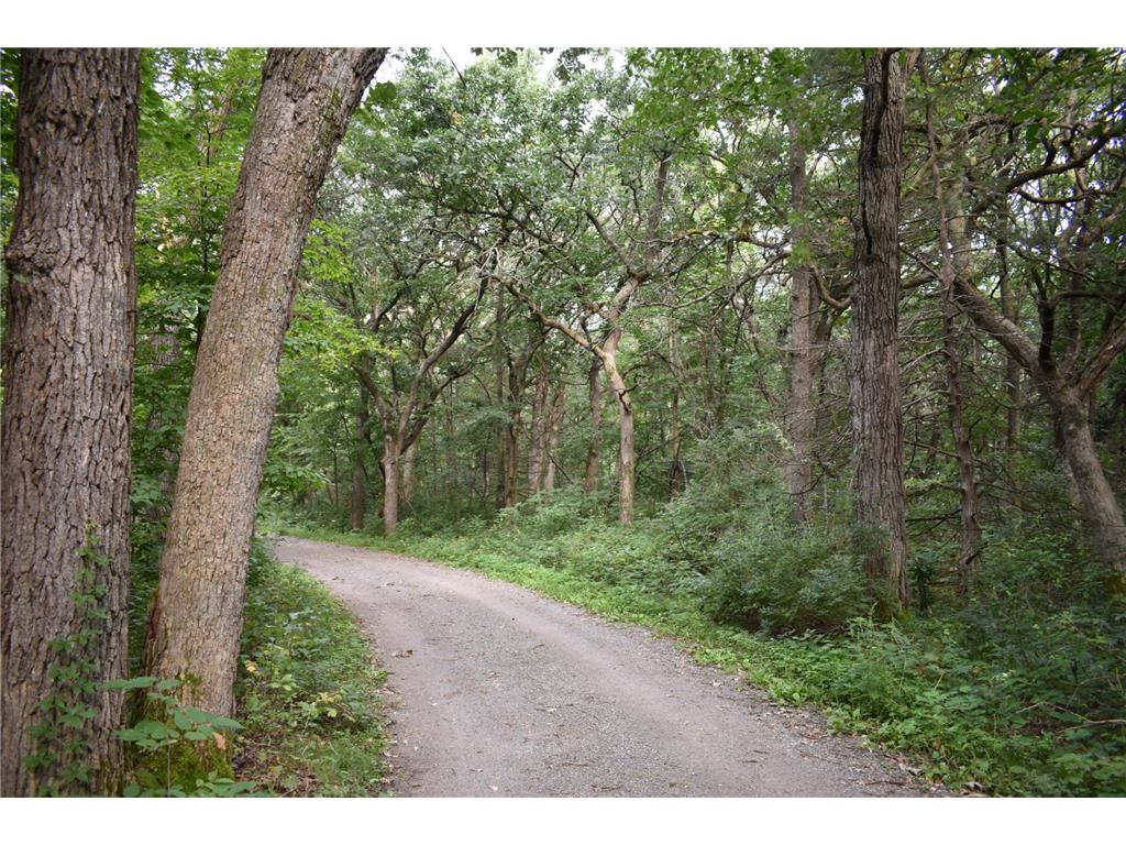 000 River Road SE Clear Lake Twp MN 56304 6678878 image1