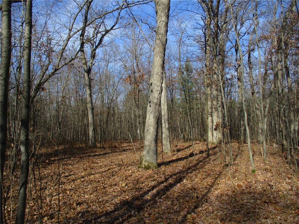 000 Say Hi Rd Springbrook WI 54875 6306578 image1