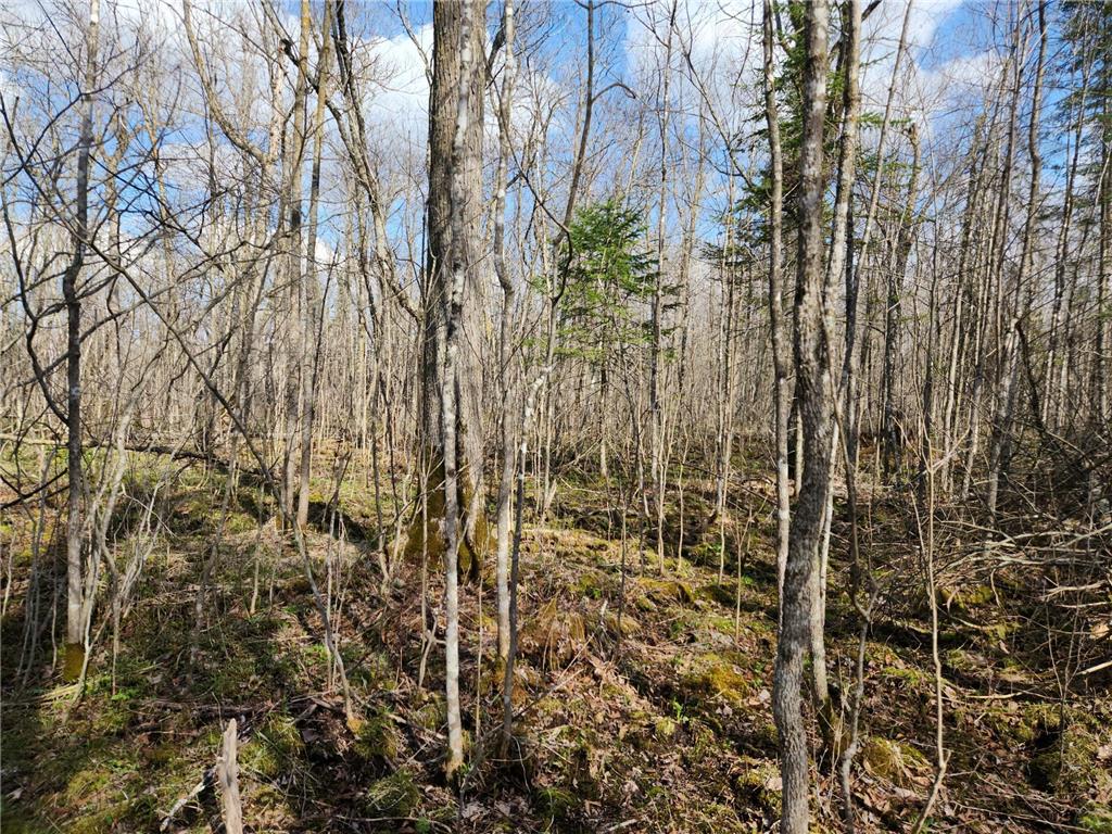 000 Sherwood Grasston MN 55030 - MUD CREEK 6362644 image1