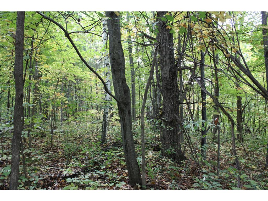 000 St Croix Trail Taylors Falls MN 55084 7064744 image2