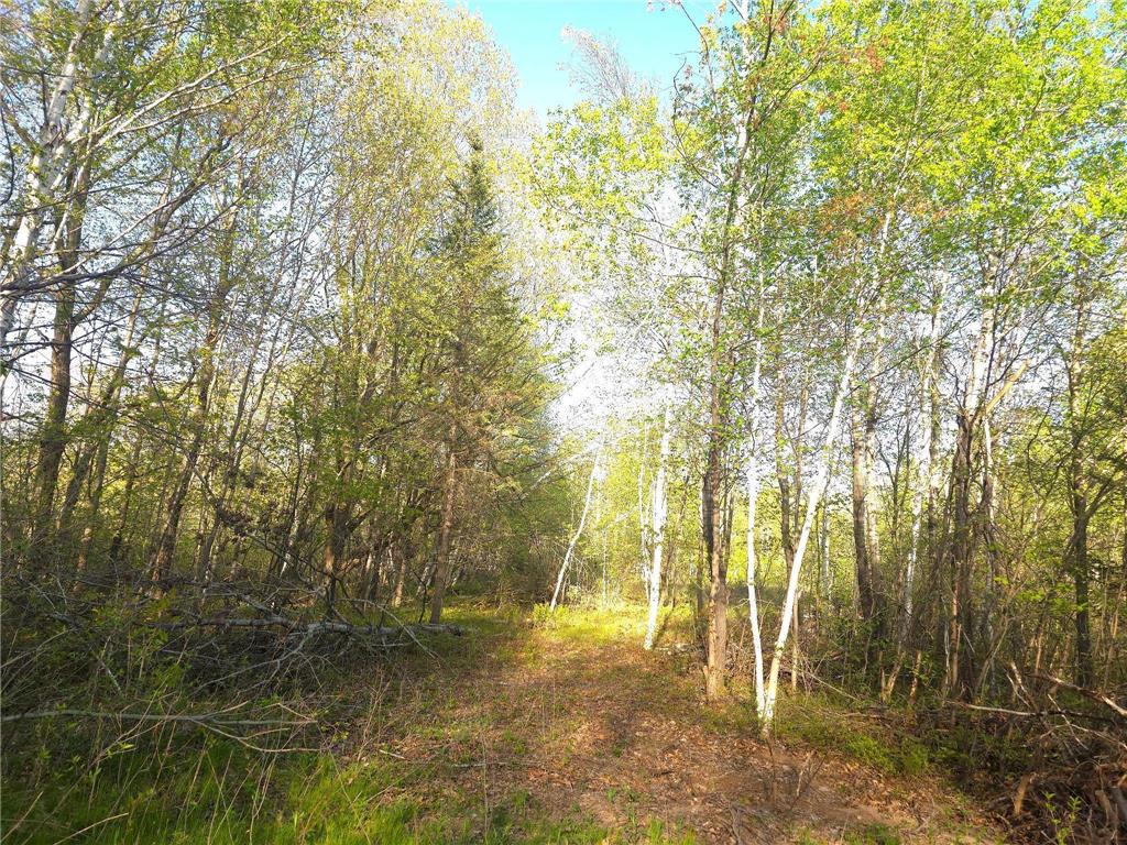 000 Starch Road Bruno MN 55712 6721815 image1