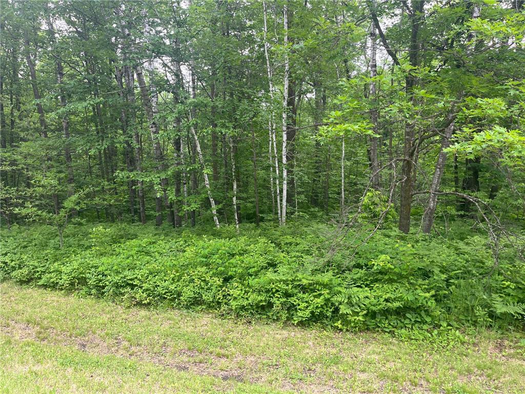 000 State Highway 107 Grasston MN 55030 6735924 image1