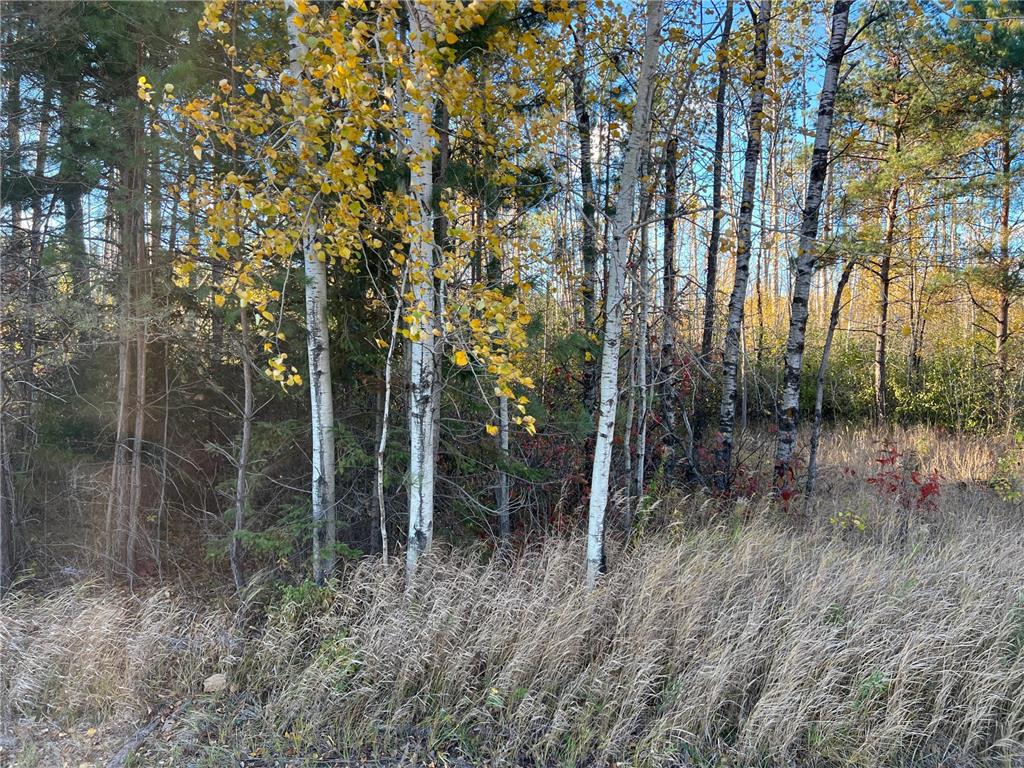 000 State Hwy 23 S. Sandstone MN 55072 6806226 image10