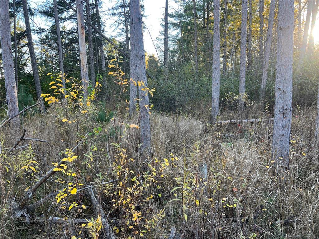 000 State Hwy 23 S. Sandstone MN 55072 6806226 image2