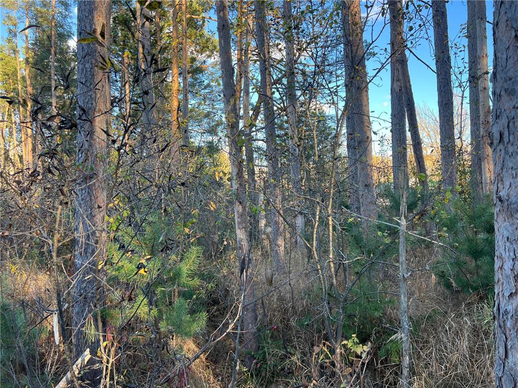 000 State Hwy 23 S. Sandstone MN 55072 6806226 image4