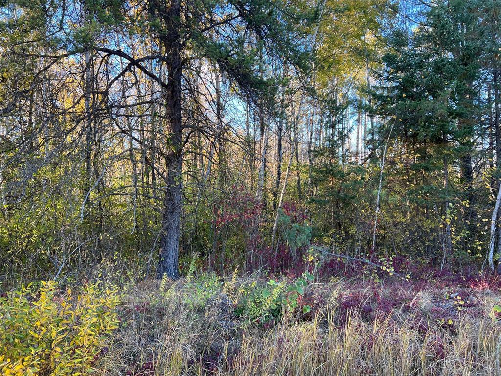 000 State Hwy 23 S. Sandstone MN 55072 6806226 image5