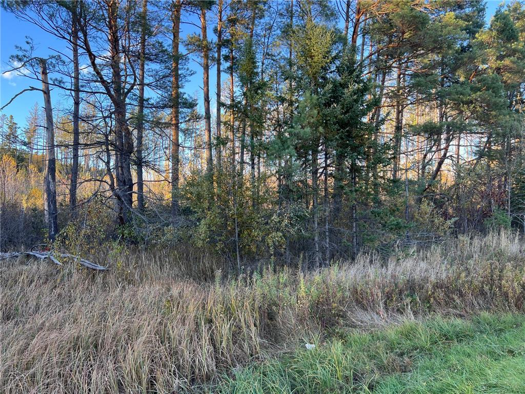 000 State Hwy 23 S. Sandstone MN 55072 6806226 image9