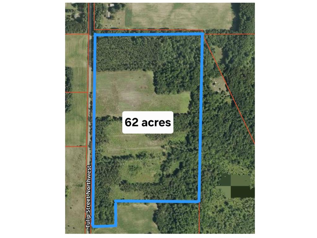 000 Tulip Street Stanchfield MN 55080 7044668 image1