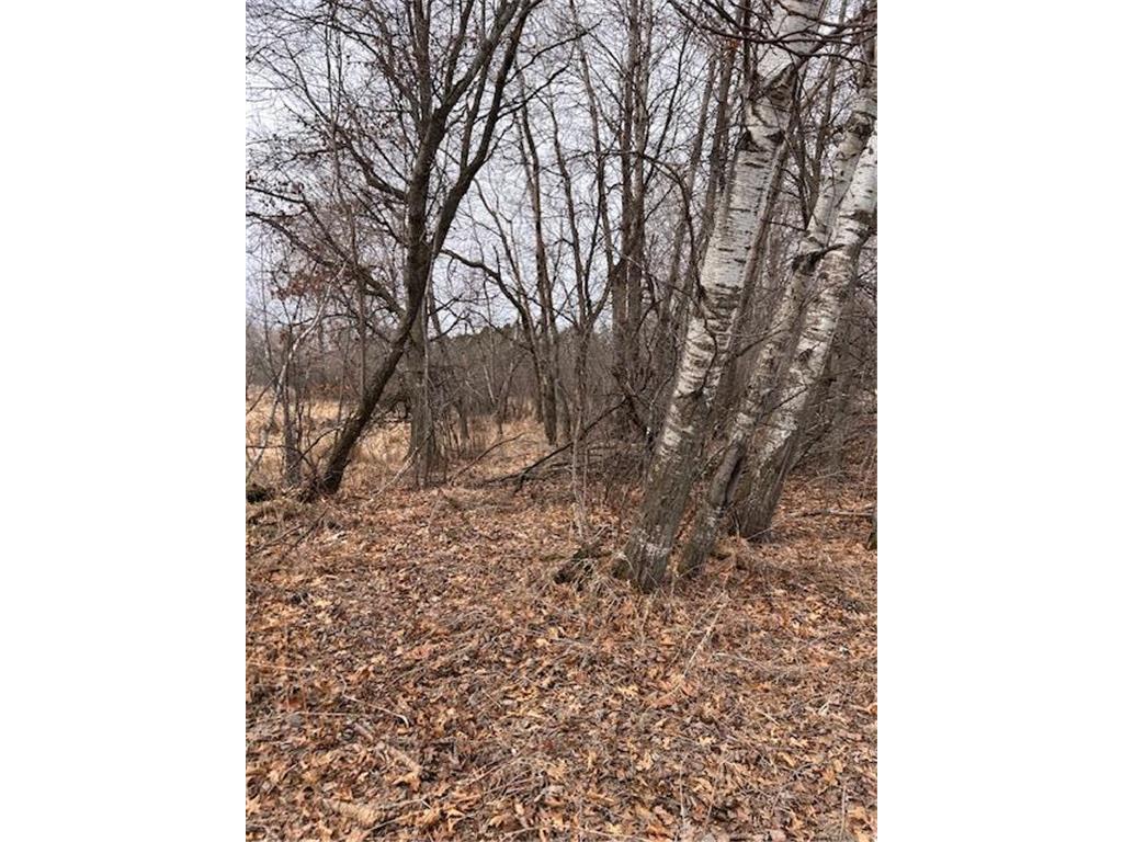 000 University Avenue Isanti MN 55040 7048752 image23