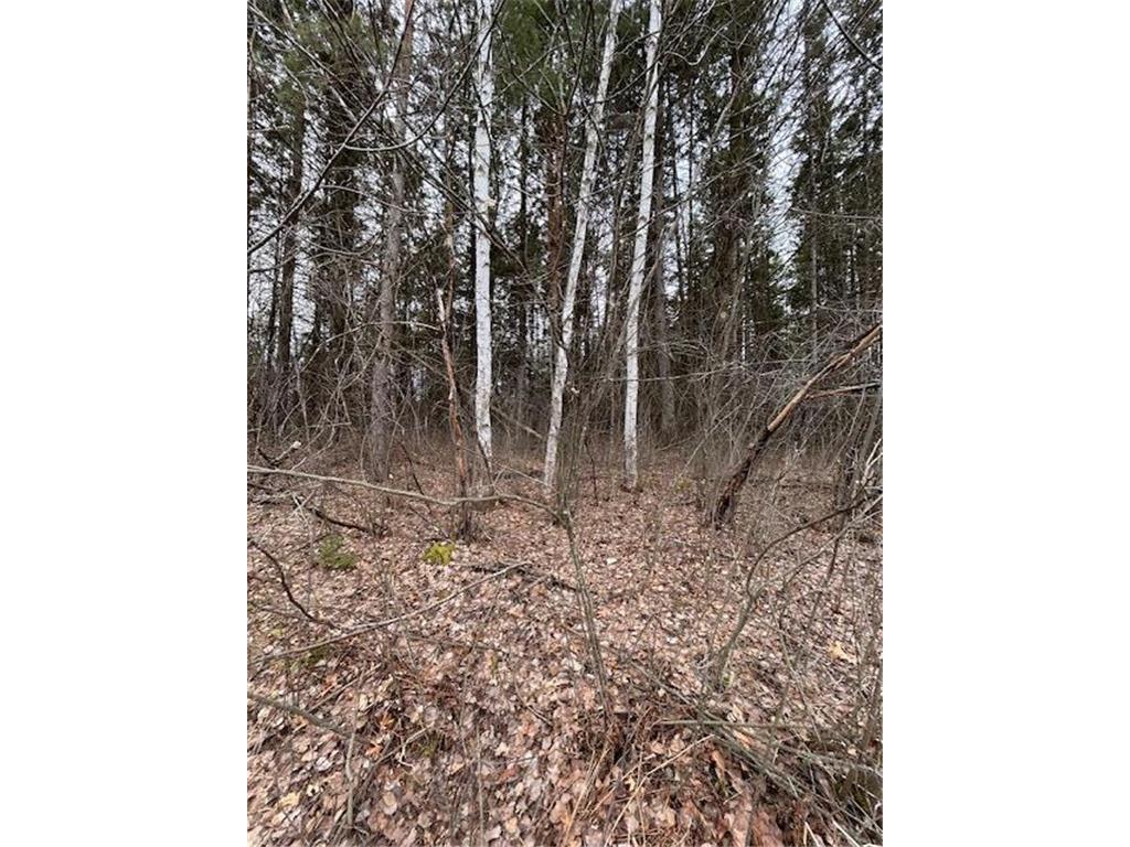 000 University Avenue Isanti MN 55040 7048752 image25
