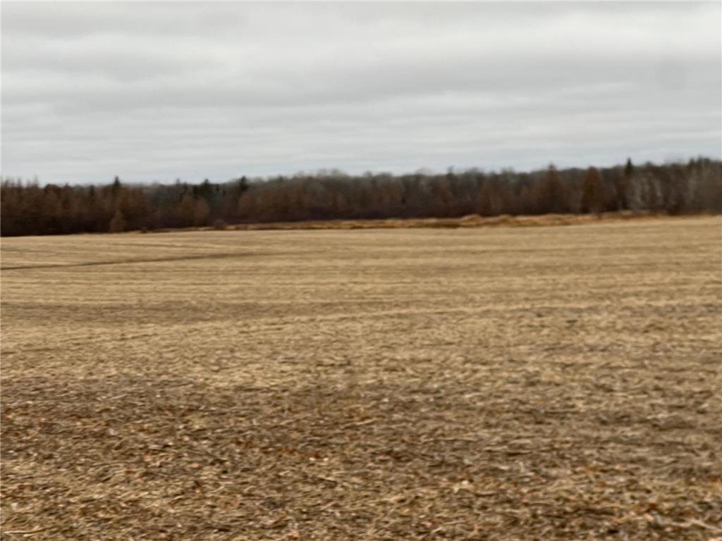 000 Wildwood Rd Mission Creek Twp MN 55007 6822042 image10