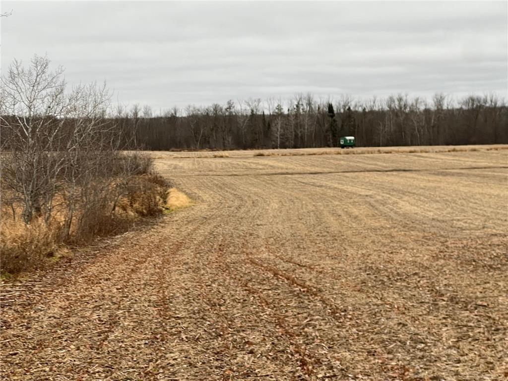 000 Wildwood Rd Mission Creek Twp MN 55007 6822042 image11