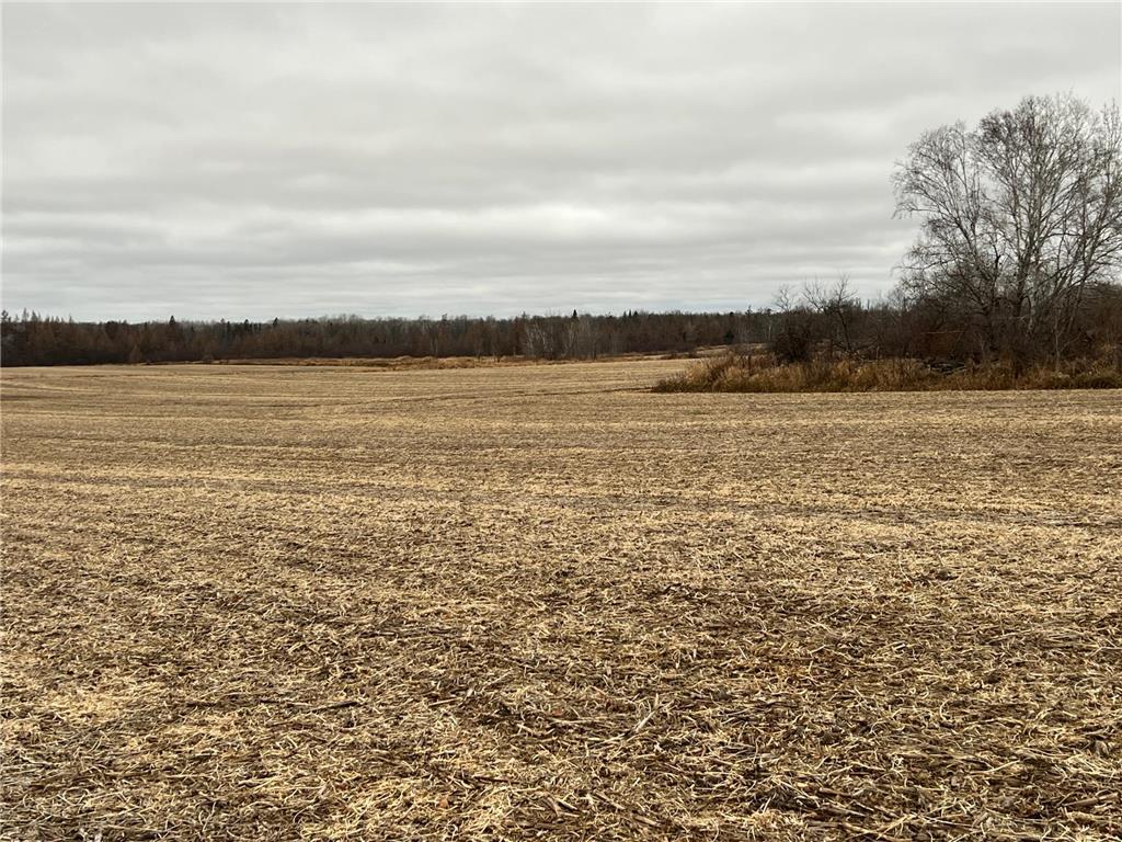 000 Wildwood Rd Mission Creek Twp MN 55007 6822042 image12