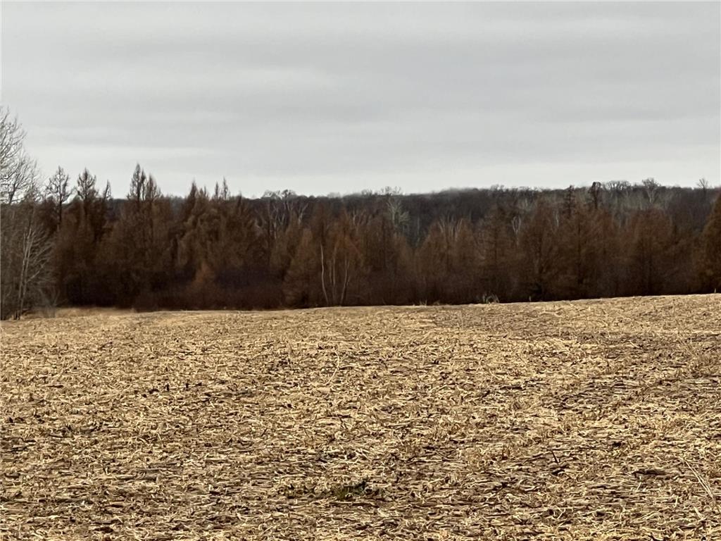 000 Wildwood Rd Mission Creek Twp MN 55007 6822042 image4