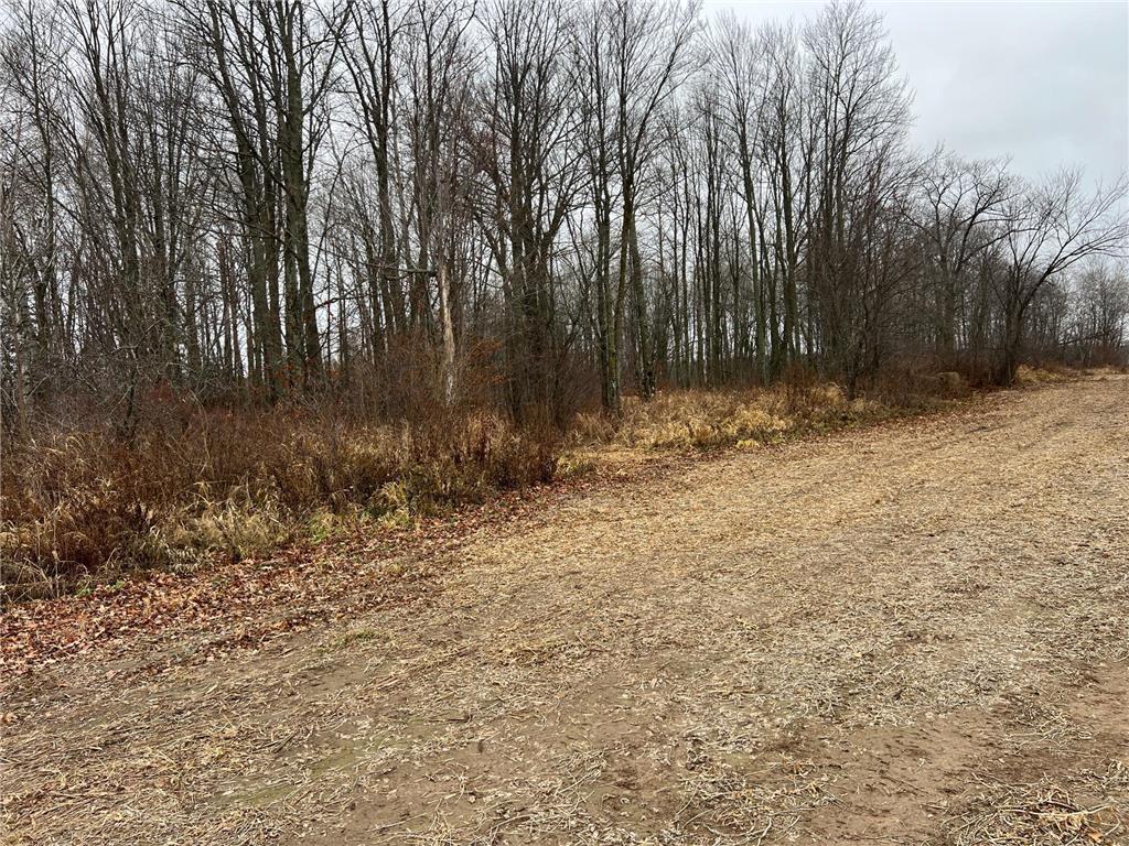 000 Wildwood Rd Mission Creek Twp MN 55007 6822042 image6