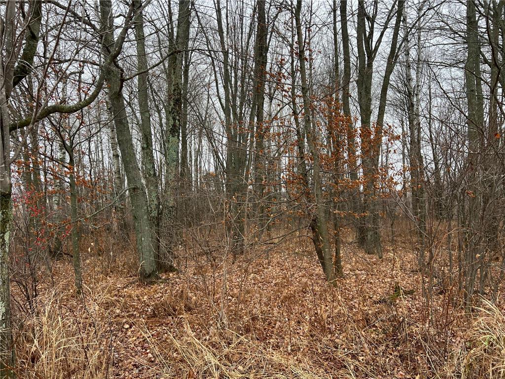 000 Wildwood Rd Mission Creek Twp MN 55007 6822042 image7