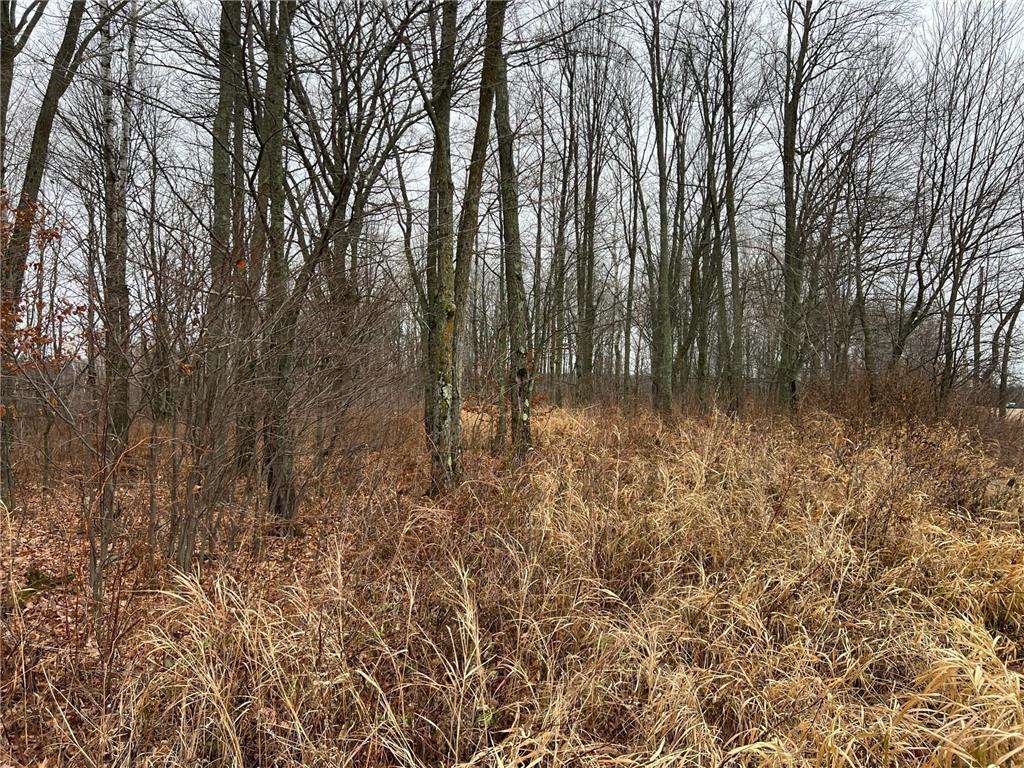 000 Wildwood Rd Mission Creek Twp MN 55007 6822042 image8