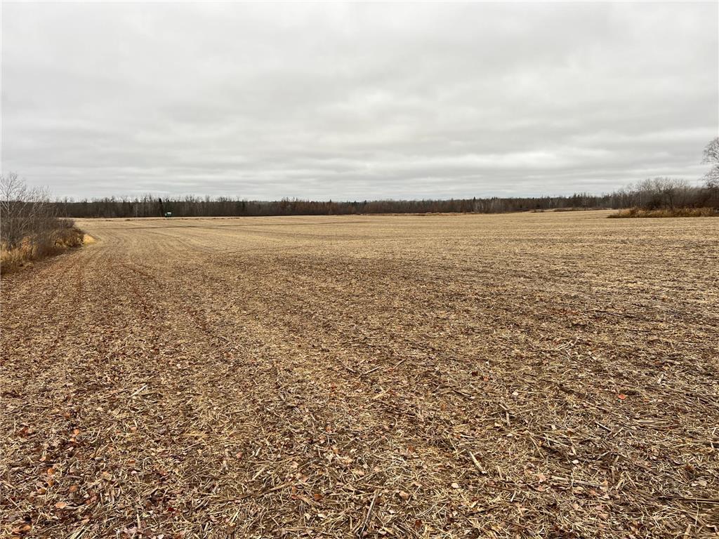 000 Wildwood Rd Mission Creek Twp MN 55007 6822042 image9