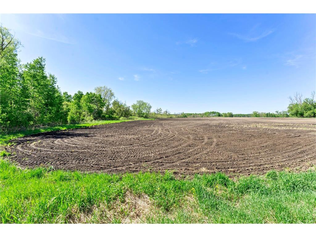 000 Xenon Road NW Dalbo MN 55017 7077139 image10