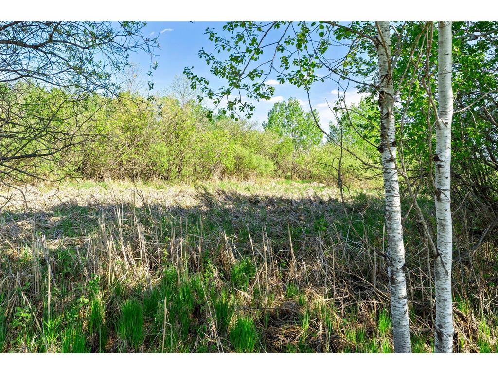 000 Xenon Road NW Dalbo MN 55017 7077139 image13