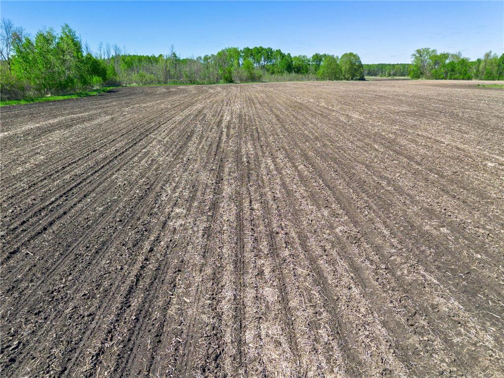 000 Xenon Road NW Dalbo MN 55017 7077139 image25
