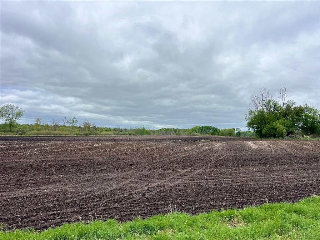 000 Xenon Road NW Dalbo MN 55017 7077139 image7