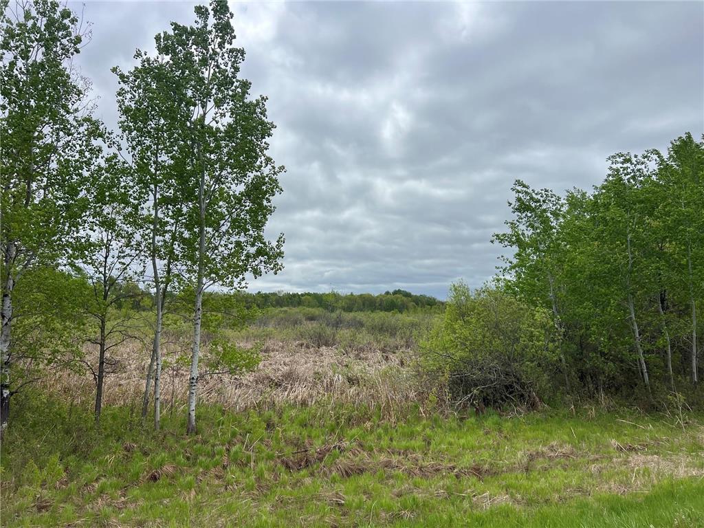 000 Xenon Road NW Dalbo MN 55017 7077139 image8